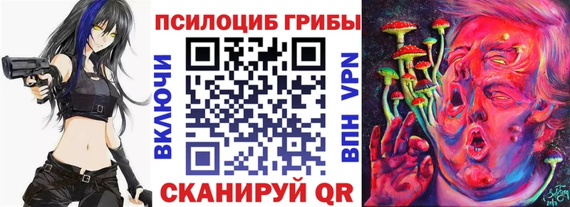 Галлюциногенные грибы Psilocybe  Старый Оскол 