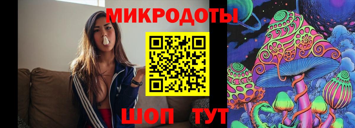 Псилоцибиновые грибы Cubensis Старый Оскол