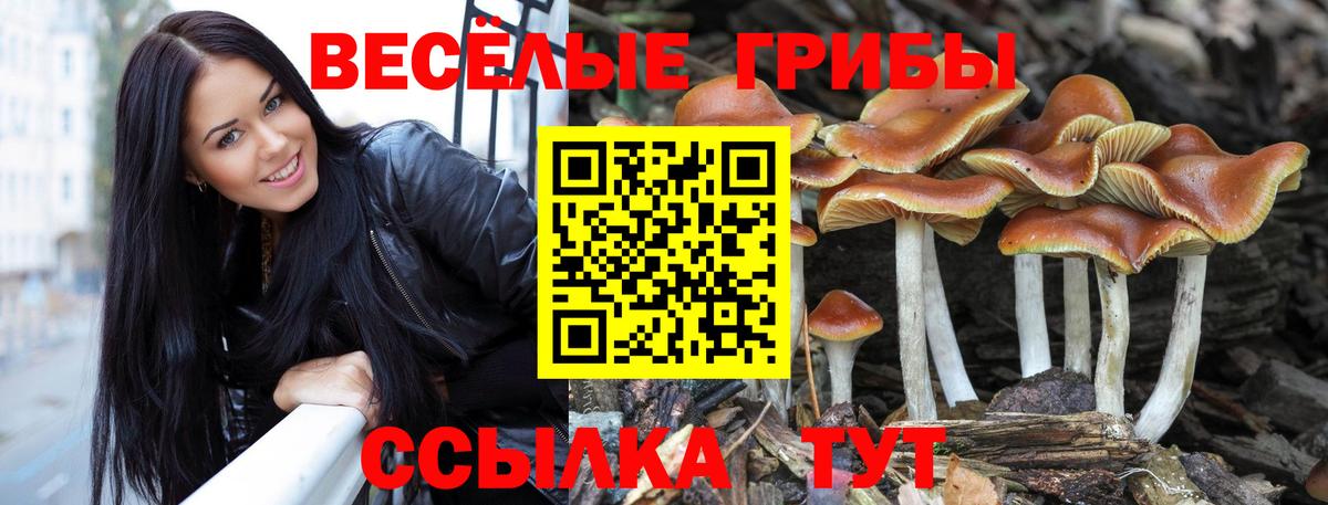  COCAIN Старый Оскол