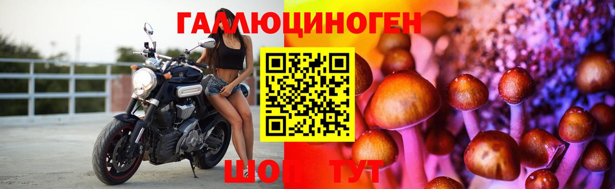 Галлюциногенные грибы ЛСД  Старый Оскол  купить наркотики сайты  Галлюциногенные грибы Psilocybe 